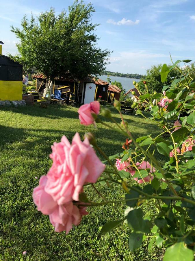 Angelinin Konak Negotin Eksteriør bilde